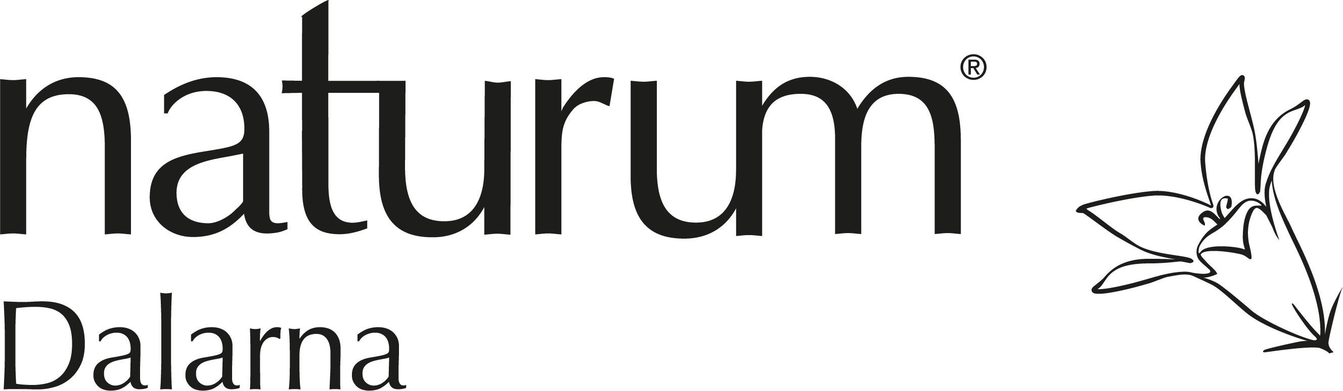 naturumlogga_svart