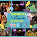 PÅSKDAGSFOX i Siljansnäs med Fox-nonstop 20 april