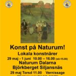 Konst på Naturum