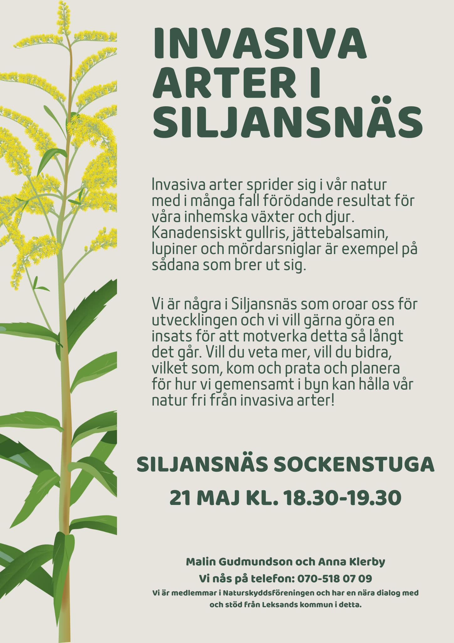 Invasiva arter i Siljansnäs