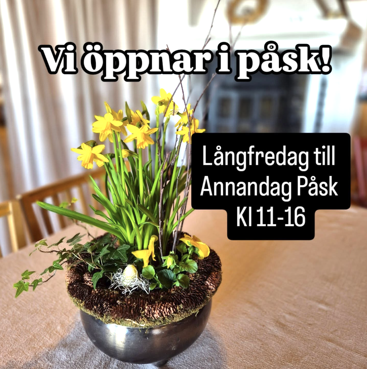 Buffils Annas kaffestuga öppnar för säsongen