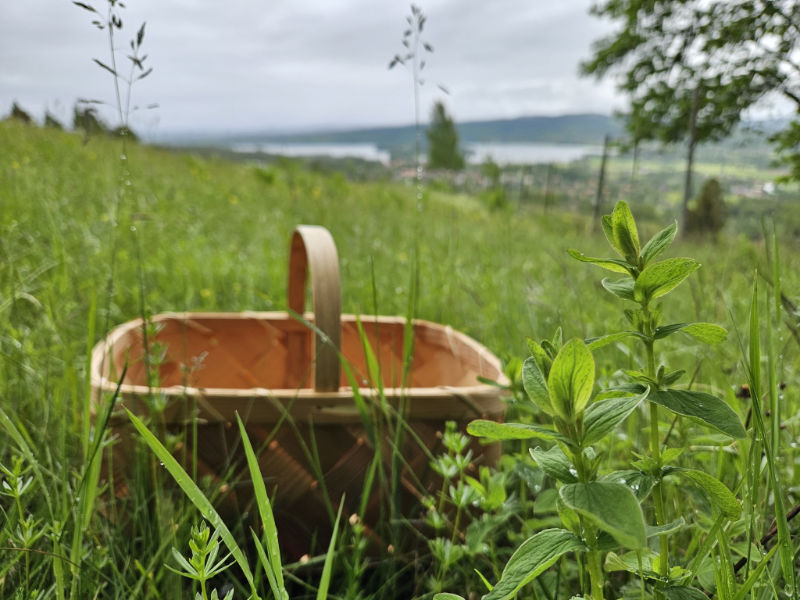Örtapromenad