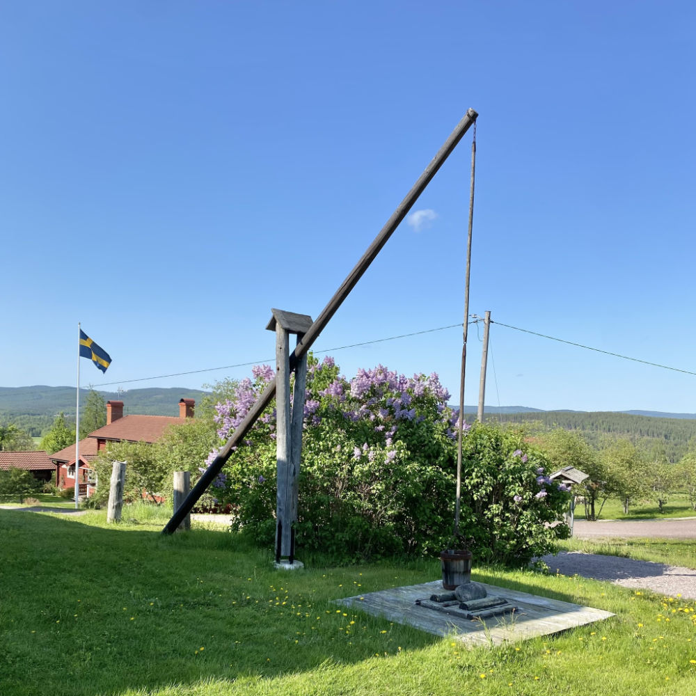 Midsommarfirande på Björkberget