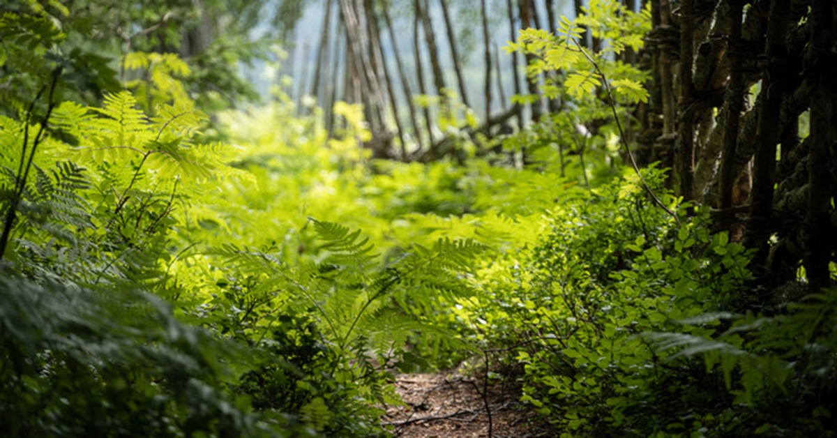 Naturum: Folktrovandring