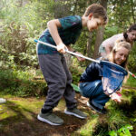 Naturum: Upptäck naturen